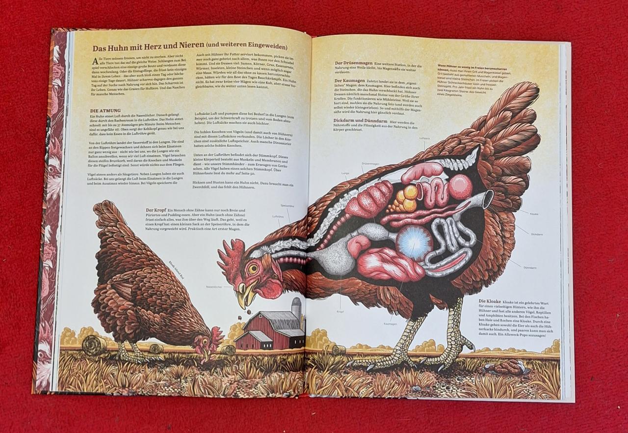 Innenseite Das große Buch der Hühner