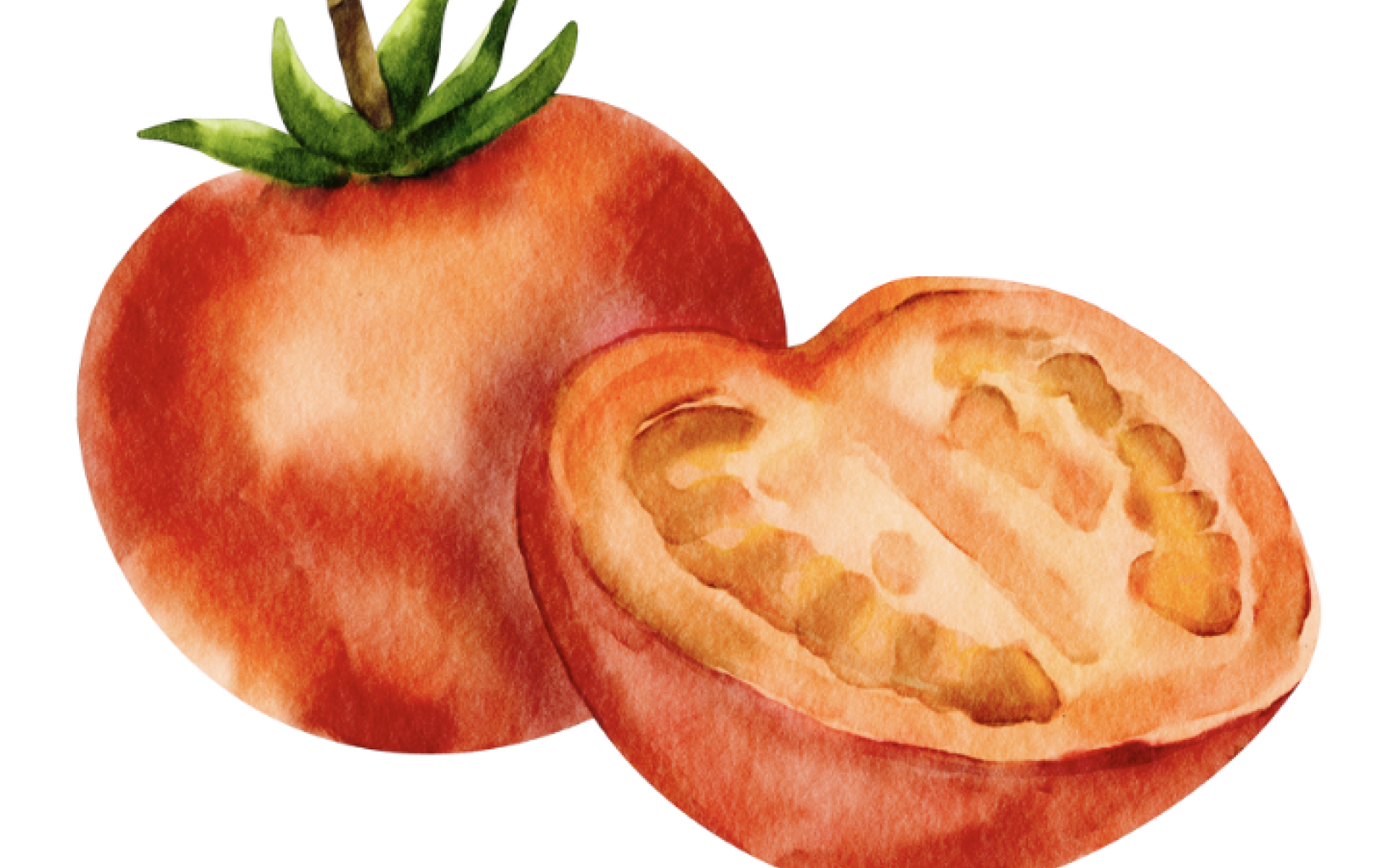 Tomaten